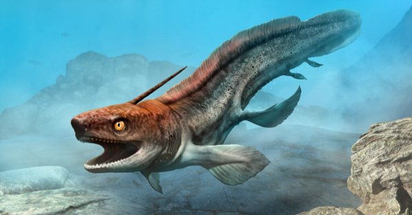 Xenacanthus đã tuyệt chủng hơn 200 triệu năm trước