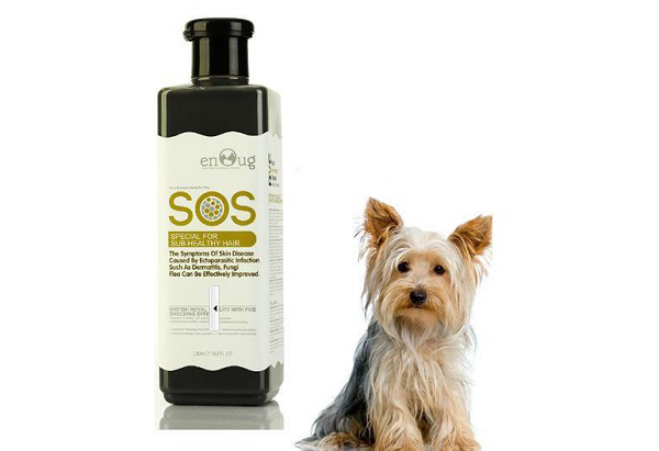 Sữa tắm trị viêm da ở chó SOS