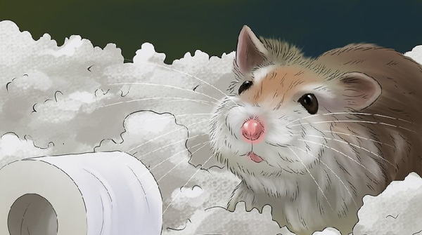Hamster mẹ sẽ tự tìm các vật liệu mềm để làm tổ trước khi sinh