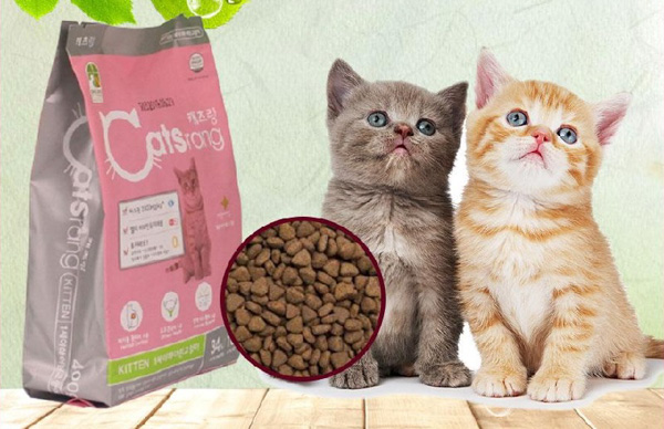 Sản phẩm Catsrang dành riêng cho mèo con được đánh giá cao về chất lượng