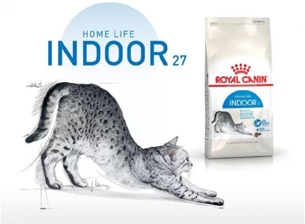 Royal Canin Indoor có tác dụng tăng cường sức khỏe cho mèo ít vận động