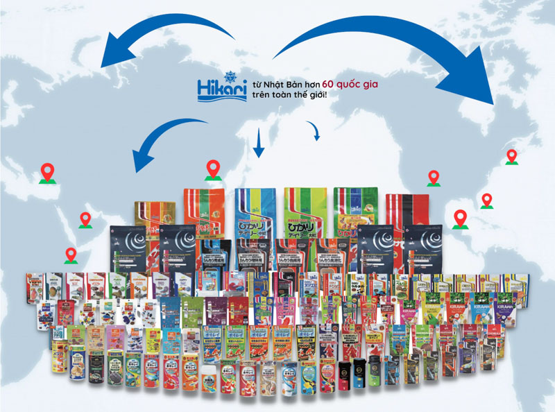Thức ăn Hikari chính hãng Thức ăn Hikari chính hãng