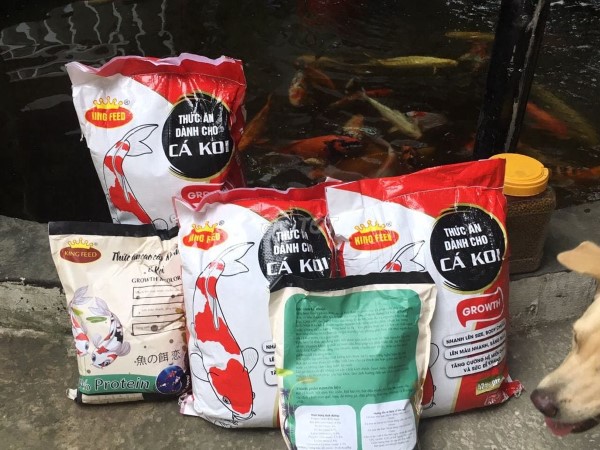 Cám cá koi King Feed có nhiều loại khác nhau để phù hợp với nhu cầu dinh dưỡng của cá koi ở các giai đoạn phát triển khác nhau Cám cá koi King Feed có nhiều loại khác nhau để phù hợp với nhu cầu dinh dưỡng của cá koi ở các giai đoạn phát triển khác nhau