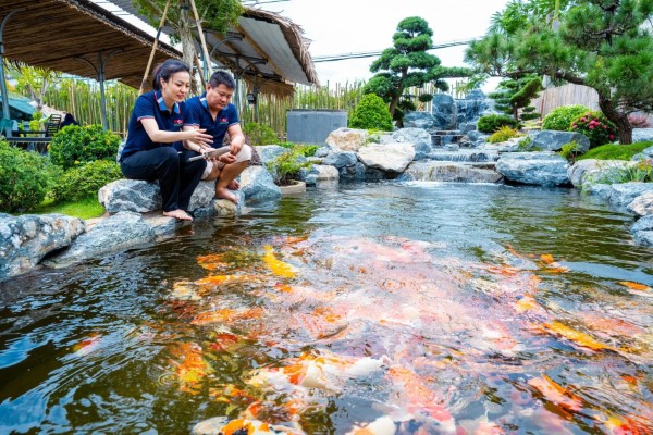 Các mùa trong năm cũng tác động đáng kể đến lượng thức ăn mà cá koi cần tiêu thụ Các mùa trong năm cũng tác động đáng kể đến lượng thức ăn mà cá koi cần tiêu thụ