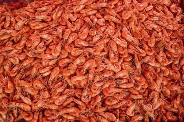 Ngoài việc sử dụng các loại thức ăn thương mại người nuôi cá cũng có thể tận dụng một số loại thức ăn bổ sung tự nhiên Ngoài việc sử dụng các loại thức ăn thương mại người nuôi cá cũng có thể tận dụng một số loại thức ăn bổ sung tự nhiên