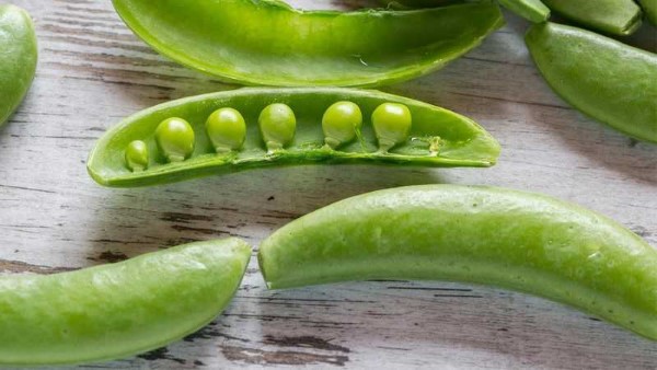 Công thức làm thức ăn cá Koi từ đậu Hà Lan Công thức làm thức ăn cá Koi từ đậu Hà Lan