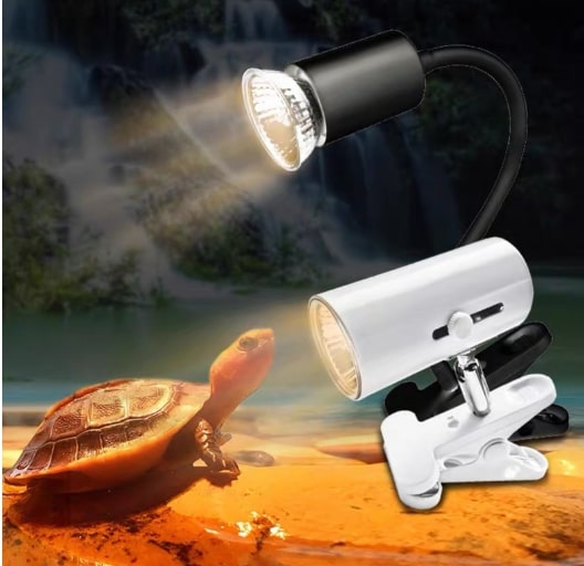 Tầm quan trọng của ánh sáng UVB Tầm quan trọng của ánh sáng UVB