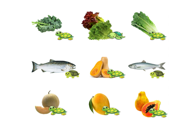 Thức ăn cho rùa cạn tự nhiên Thức ăn cho rùa cạn tự nhiên