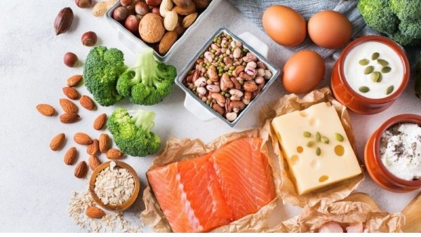 Chế độ dinh dưỡng dành cho chó Chihuahua lông dài