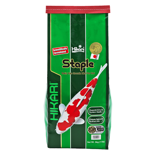 Cám cho cá koi Hikari Staple - Ảnh 5