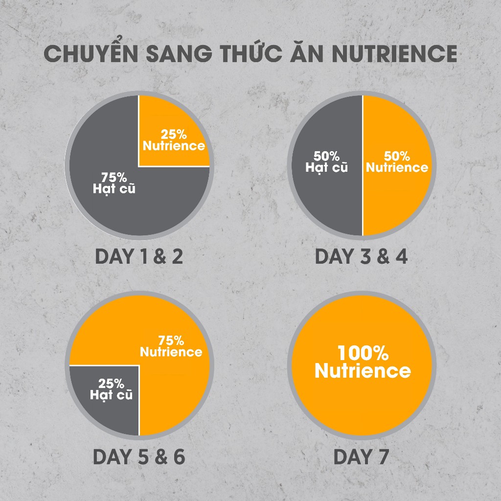 Nutrience Infusion Healthy Adult thức ăn cho chó TB lớn - thịt gà và rau củ trái cây tự nhiên 500g - Ảnh 8