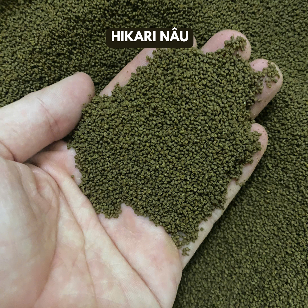Cám Hikari mix Hikari nâu, Hikari Cam, Saki-Hikari Deep Red cho cá vàng, cầu vồng, hồng mi - Ảnh 2