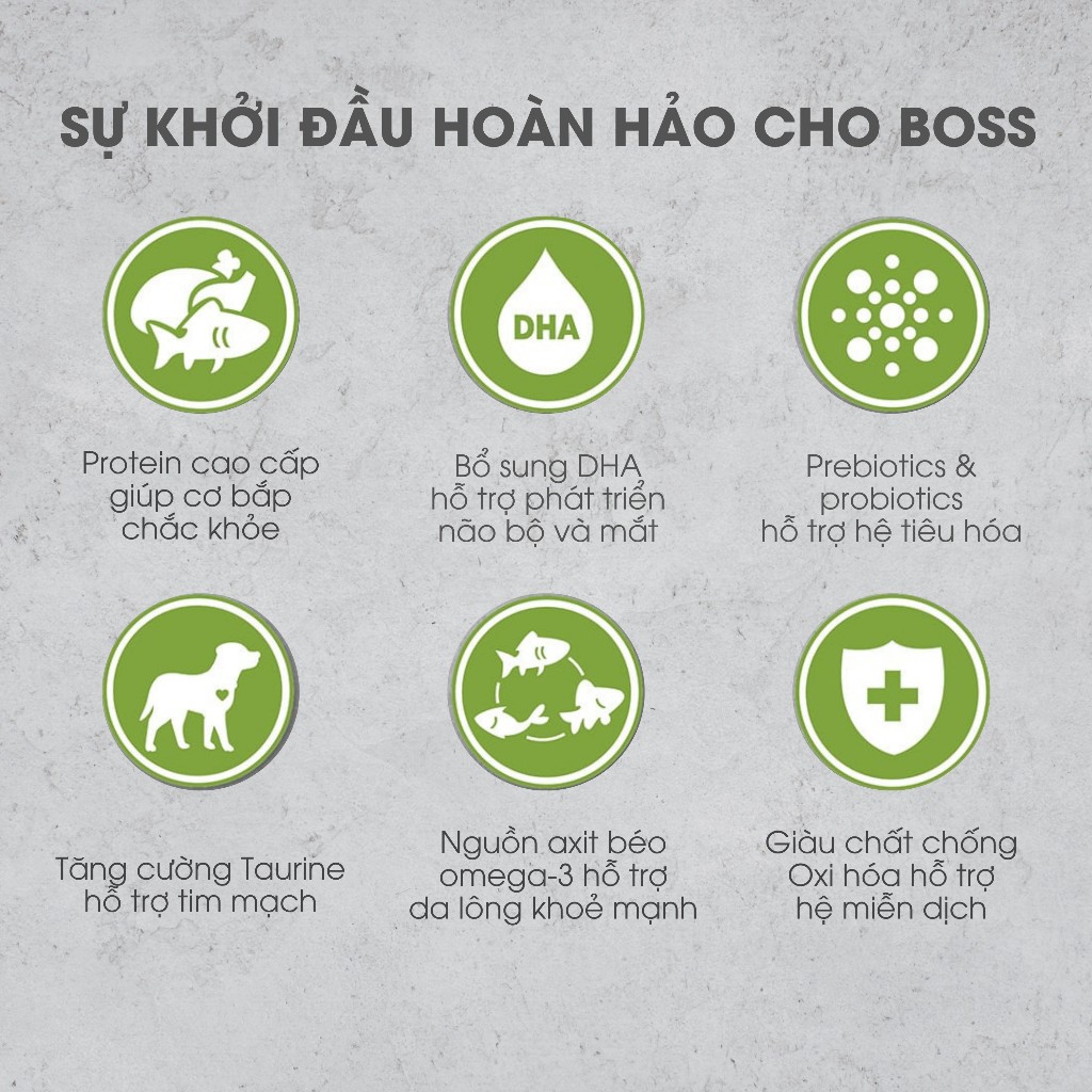 Thức ăn cho chó con Nutrience Infusion Healthy Puppy - thịt gà, dầu cá hồi và rau củ trái cây 2.27kg - Ảnh 4