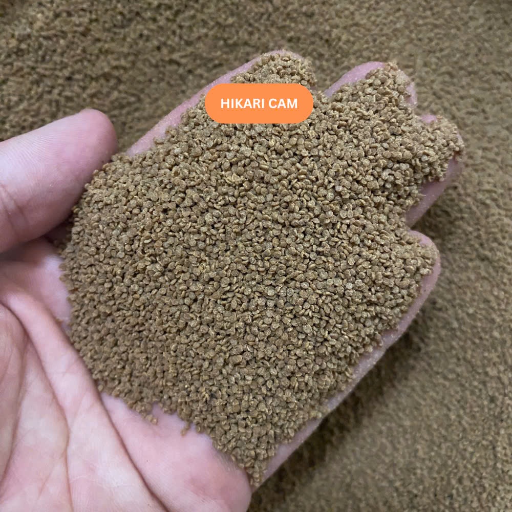 Cám Hikari mix Hikari nâu, Hikari Cam, Saki-Hikari Deep Red cho cá vàng, cầu vồng, hồng mi - Ảnh 3
