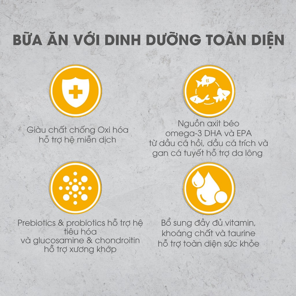 Nutrience Infusion Healthy Adult thức ăn cho chó TB lớn - thịt gà và rau củ trái cây tự nhiên 500g - Ảnh 4