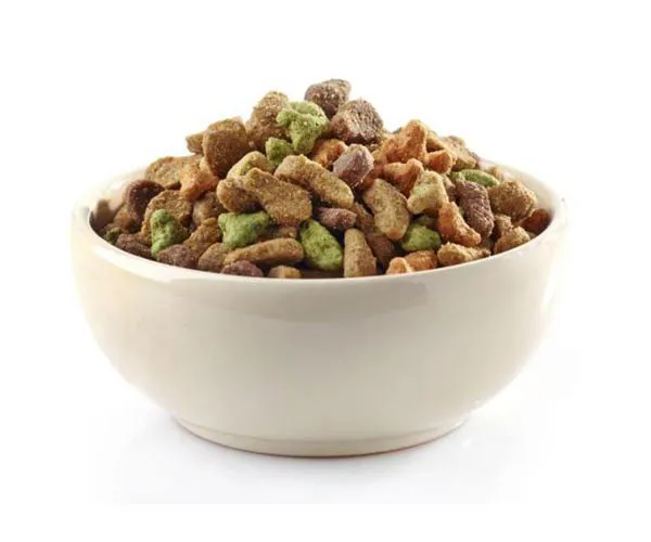 Thức ăn hạt khô cho chó Chow Chow